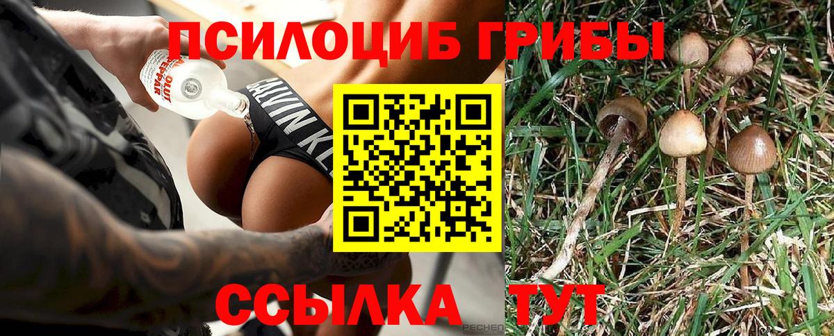 Псилоцибиновые грибы Magic Shrooms Фрязино