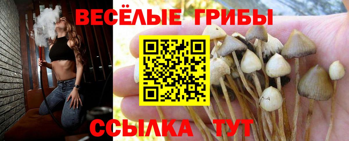 Фрязино  Галлюциногенные грибы Magic Shrooms  Галлюциногенные грибы ЛСД  Вход с VPN 